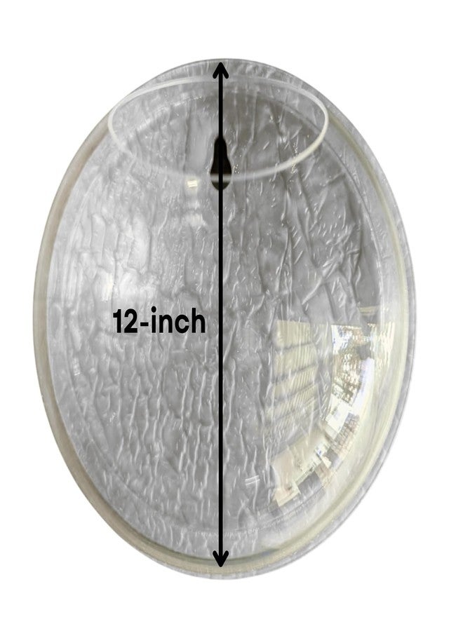 حوض سمك دائري أبيض مقاس 12 بوصة يُعلق على الحائط - بدون قاعدة | حوض أسماك عصري للمنزل والمكتب والمقهى | تصميم موفر للمساحة وصغير الحجم | حوض سمك أنيق وحوض نباتات - Image 2